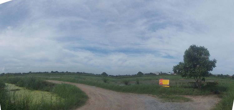 💖 ที่ดิน บางปะกง ราคาพิเศษ! 💖