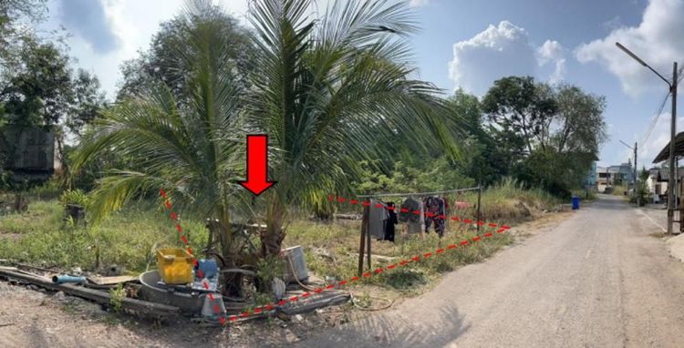 ใช่ 💖 ที่ดิน ปะทิว ราคาพิเศษ! 💖 รูปที่ 2