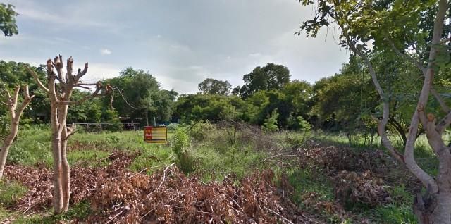 ใช่ 💖 ที่ดิน เมืองชัยภูมิ ราคาพิเศษ! 💖