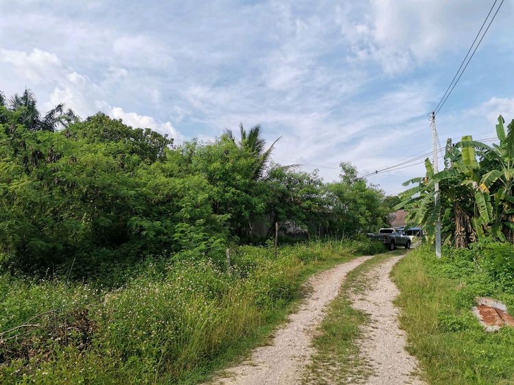 ใช่ 💖 ที่ดิน เมืองกระบี่ ราคาพิเศษ! 💖 รูปที่ 4