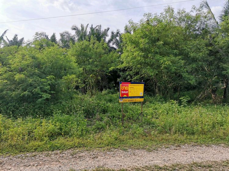 ใช่ 💖 ที่ดิน เมืองกระบี่ ราคาพิเศษ! 💖 รูปที่ 3