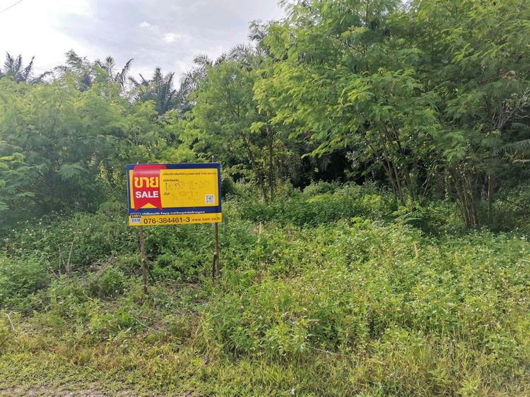 ใช่ 💖 ที่ดิน เมืองกระบี่ ราคาพิเศษ! 💖