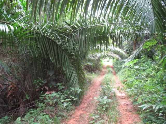 āđāļāđ ð āļāļĩāđāļāļīāļ āļāļĨāļēāļĒāļāļĢāļ°āļĒāļē āļĢāļēāļāļēāļāļīāđāļĻāļĐ! ð āļĢāļđāļāļāļĩāđ 2