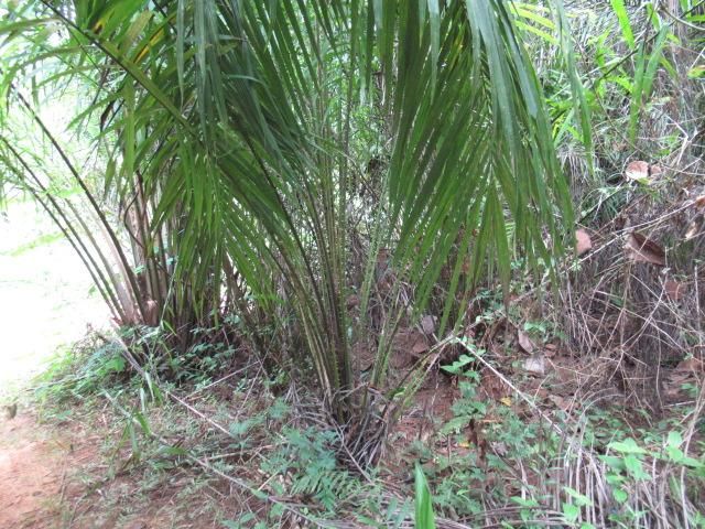 āđāļāđ ð āļāļĩāđāļāļīāļ āļāļĨāļēāļĒāļāļĢāļ°āļĒāļē āļĢāļēāļāļēāļāļīāđāļĻāļĐ! ð āļĢāļđāļāļāļĩāđ 3