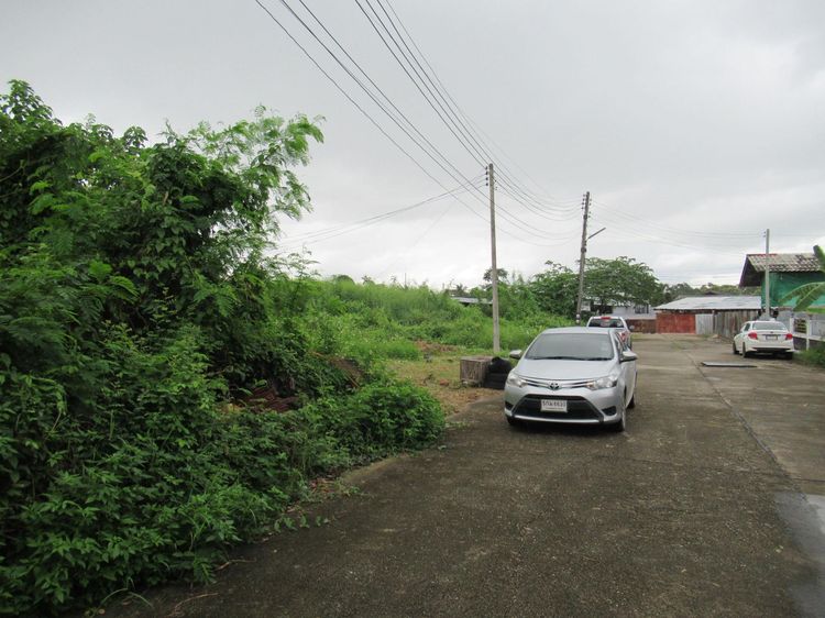 ใช่ 💖 ที่ดิน เมืองลำปาง ราคาพิเศษ! 💖 รูปที่ 3