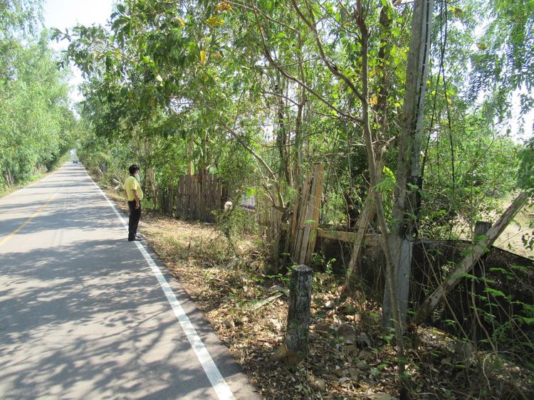 ใช่ 💖 ที่ดิน เถิน ราคาพิเศษ! 💖 รูปที่ 2