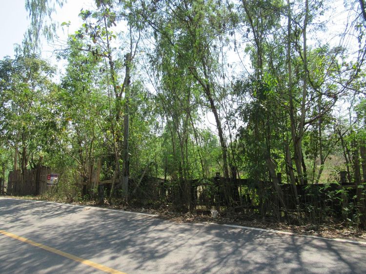 ใช่ 💖 ที่ดิน เถิน ราคาพิเศษ! 💖 รูปที่ 4