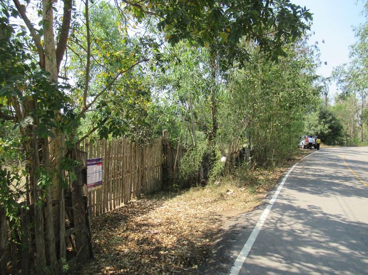 ใช่ 💖 ที่ดิน เถิน ราคาพิเศษ! 💖 รูปที่ 3