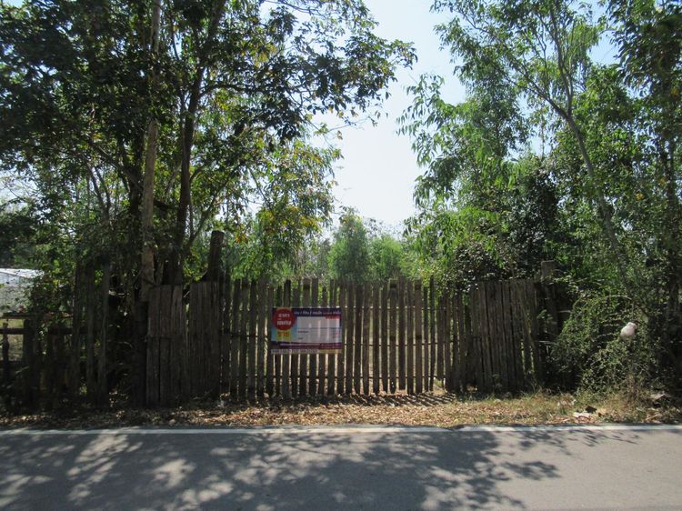 ใช่ 💖 ที่ดิน เถิน ราคาพิเศษ! 💖