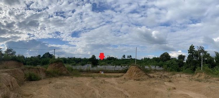 ใช่ 💖 ที่ดิน ลี้ ราคาพิเศษ! 💖 รูปที่ 3