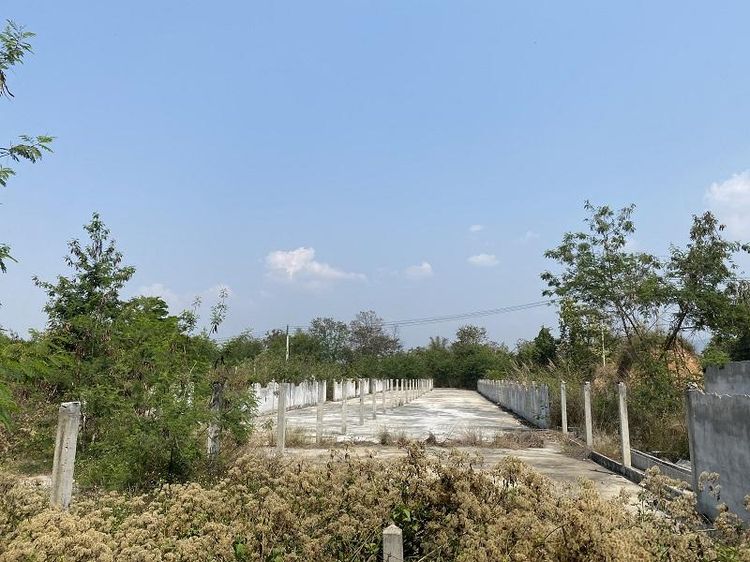 ใช่ 💖 ที่ดิน ลี้ ราคาพิเศษ! 💖 รูปที่ 2