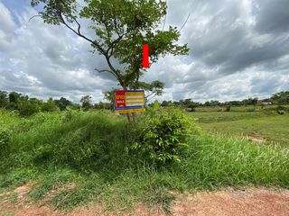 💖 ที่ดิน เมืองมุกดาหาร ราคาพิเศษ! 💖