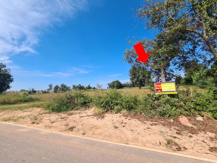 ใช่ 💖 ที่ดิน บรบือ ราคาพิเศษ! 💖 รูปที่ 2