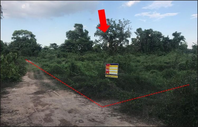 ใช่ 💖 ที่ดิน กันทรวิชัย ราคาพิเศษ! 💖 รูปที่ 2