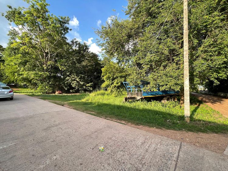 ใช่ 💖 ที่ดิน นากลาง ราคาพิเศษ! 💖 รูปที่ 3