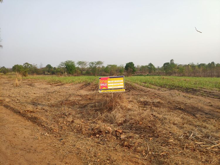 āđāļāđ ð āļāļĩāđāļāļīāļ āļĻāļĢāļĩāļāļļāļāđāļĢāļ·āļāļ āļĢāļēāļāļēāļāļīāđāļĻāļĐ! ð āļĢāļđāļāļāļĩāđ 2