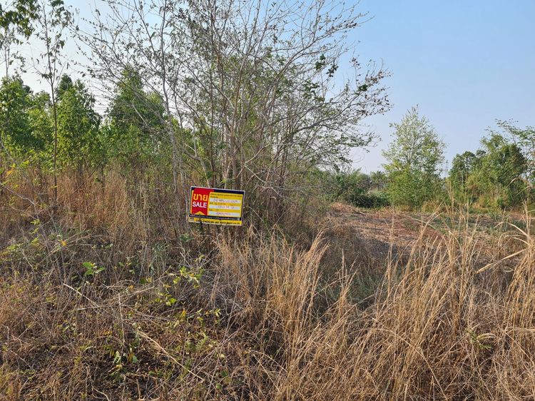 āđāļāđ ð āļāļĩāđāļāļīāļ āļĻāļĢāļĩāļāļļāļāđāļĢāļ·āļāļ āļĢāļēāļāļēāļāļīāđāļĻāļĐ! ð āļĢāļđāļāļāļĩāđ 4