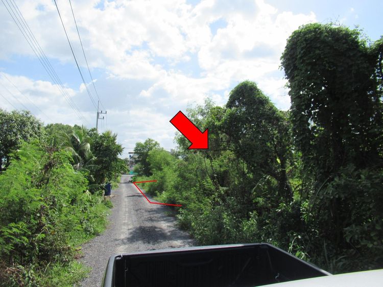 💖 ที่ดิน พุทธมณฑล ราคาพิเศษ! 💖 รูปที่ 4