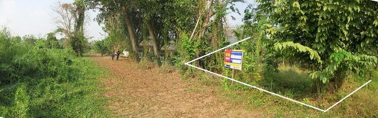 ใช่ 💖 ที่ดิน บ้านนา ราคาพิเศษ! 💖