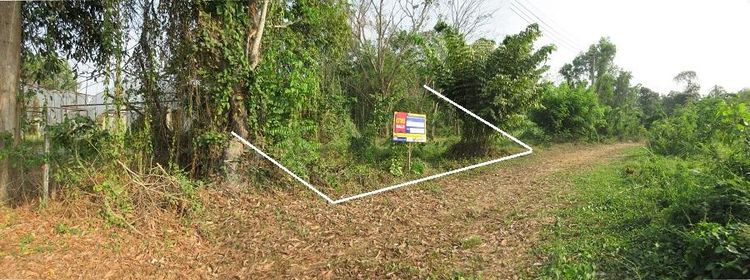 āđāļāđ ð āļāļĩāđāļāļīāļ āļāđāļēāļāļāļē āļĢāļēāļāļēāļāļīāđāļĻāļĐ! ð āļĢāļđāļāļāļĩāđ 3