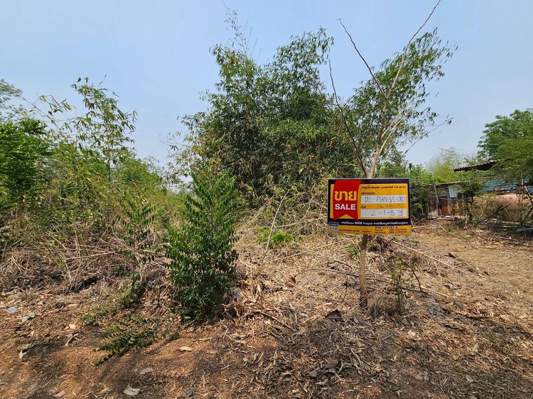 💖 ที่ดิน เมืองเพชรบูรณ์ ราคาพิเศษ! 💖