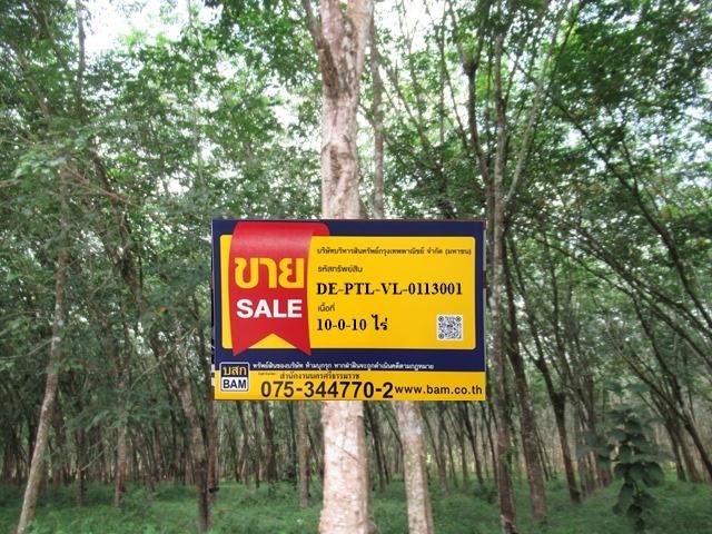 💖 ที่ดิน ปากพะยูน ราคาพิเศษ! 💖