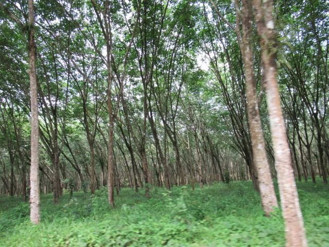 āđāļāđ ð āļāļĩāđāļāļīāļ āļāļēāļāļāļ°āļĒāļđāļ āļĢāļēāļāļēāļāļīāđāļĻāļĐ! ð āļĢāļđāļāļāļĩāđ 2