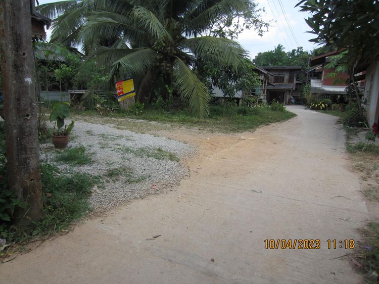 ใช่ 💖 ที่ดิน จะนะ ราคาพิเศษ! 💖 รูปที่ 3