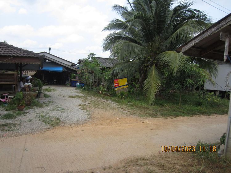 ใช่ 💖 ที่ดิน จะนะ ราคาพิเศษ! 💖 รูปที่ 4