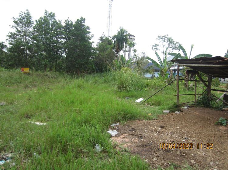 ใช่ 💖 ที่ดิน จะนะ ราคาพิเศษ! 💖 รูปที่ 2