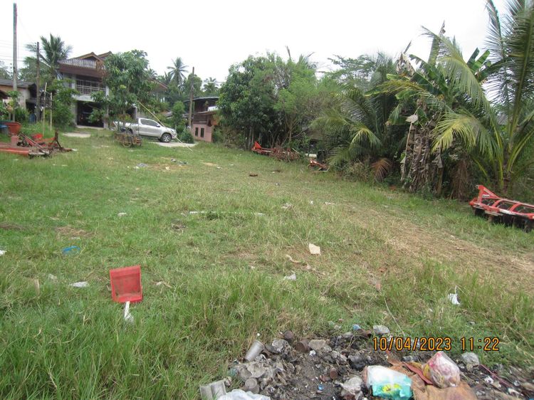 ใช่ 💖 ที่ดิน จะนะ ราคาพิเศษ! 💖 รูปที่ 3