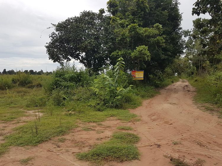 💖 ที่ดิน พังโคน ราคาพิเศษ! 💖