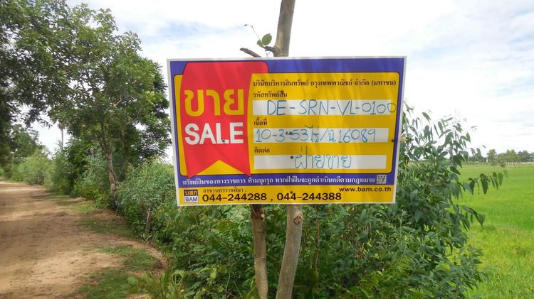 ใช่ 💖 ที่ดิน ชุมพลบุรี ราคาพิเศษ! 💖