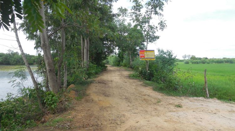 ใช่ 💖 ที่ดิน ชุมพลบุรี ราคาพิเศษ! 💖 รูปที่ 4