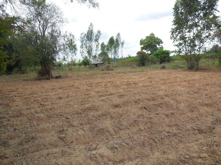 ใช่ 💖 ที่ดิน กุมภวาปี ราคาพิเศษ! 💖 รูปที่ 3