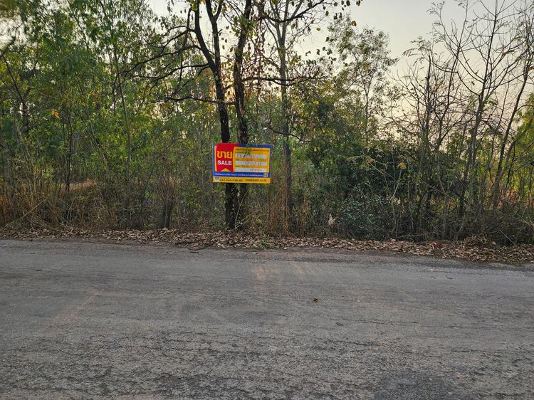 💖 ที่ดิน ไชยวาน ราคาพิเศษ! 💖