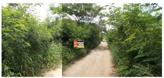 ใช่ 💖 ที่ดิน ดอยหล่อ ราคาพิเศษ! 💖 รูปที่ 2