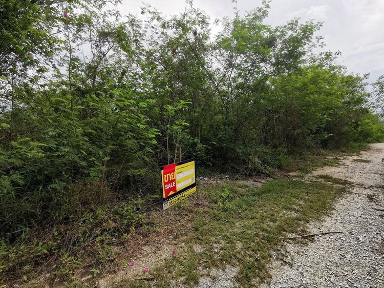 āđāļāđ ð āļāļĩāđāļāļīāļ āļāļāļĒāļŦāļĨāđāļ āļĢāļēāļāļēāļāļīāđāļĻāļĐ! ð āļĢāļđāļāļāļĩāđ 3