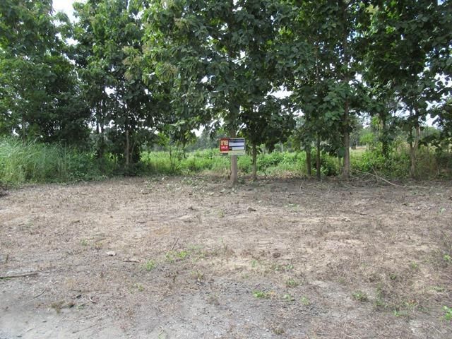 💖 ที่ดิน แม่แตง ราคาพิเศษ! 💖