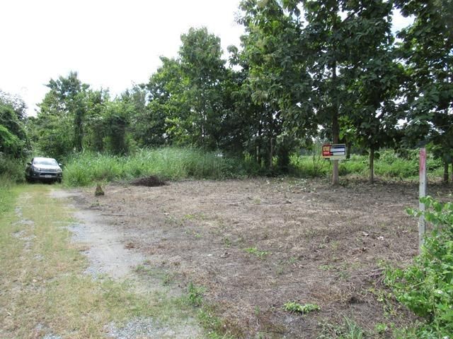 ใช่ 💖 ที่ดิน แม่แตง ราคาพิเศษ! 💖 รูปที่ 3