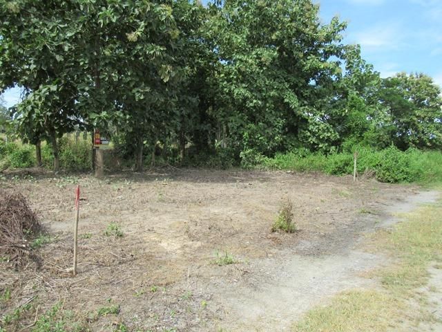 ใช่ 💖 ที่ดิน แม่แตง ราคาพิเศษ! 💖 รูปที่ 2