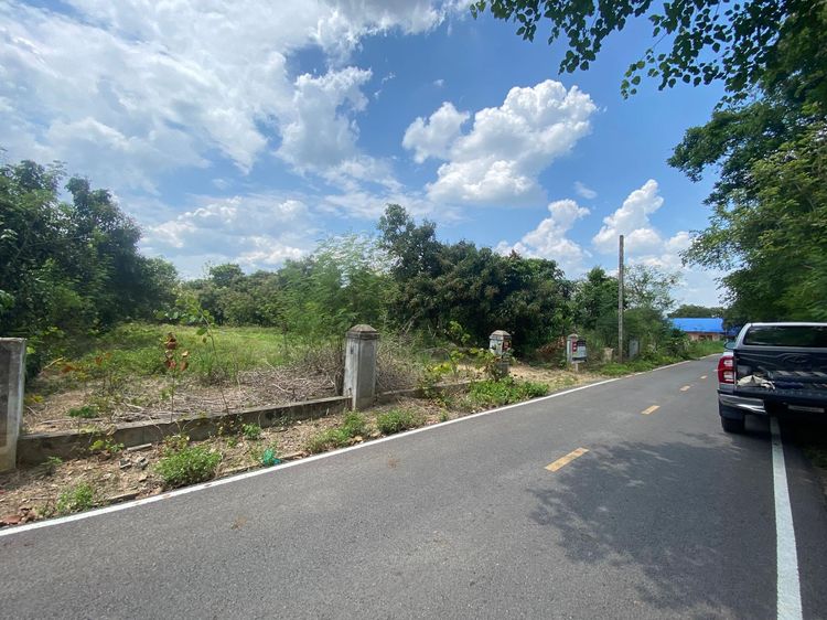 ใช่ 💖 ที่ดิน ดอยหล่อ ราคาพิเศษ! 💖 รูปที่ 3