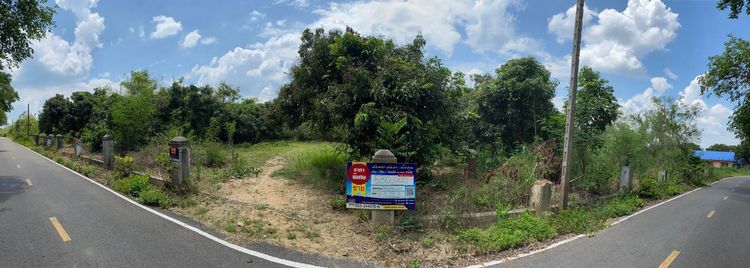 ใช่ 💖 ที่ดิน ดอยหล่อ ราคาพิเศษ! 💖 รูปที่ 2