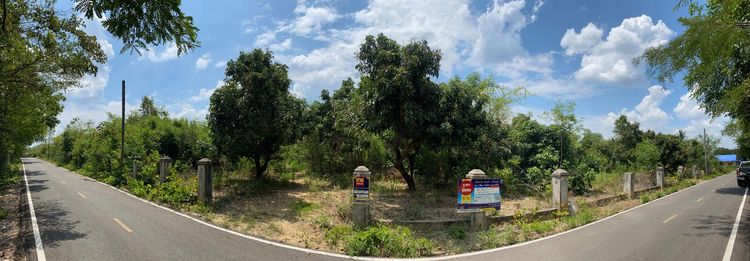 ใช่ 💖 ที่ดิน ดอยหล่อ ราคาพิเศษ! 💖 รูปที่ 3