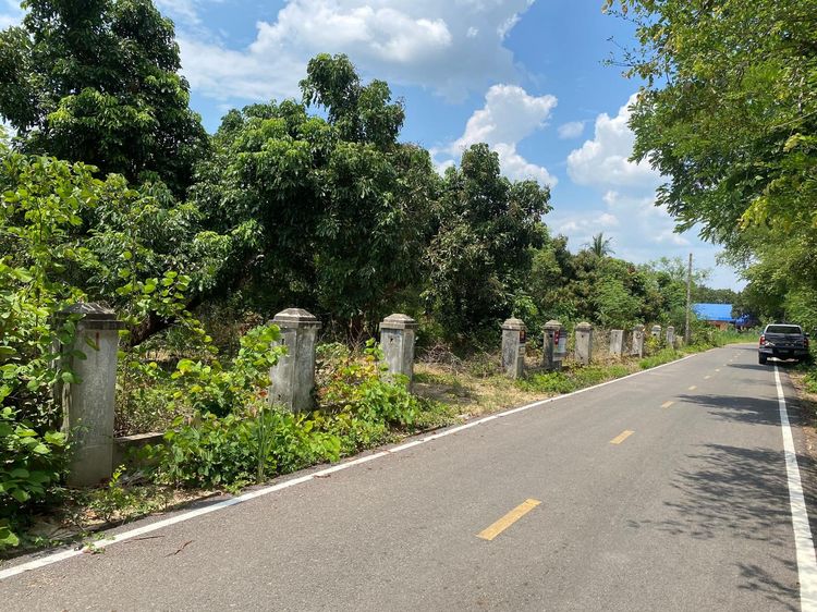 ใช่ 💖 ที่ดิน ดอยหล่อ ราคาพิเศษ! 💖 รูปที่ 4