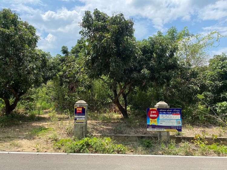 💖 ที่ดิน ดอยหล่อ ราคาพิเศษ! 💖