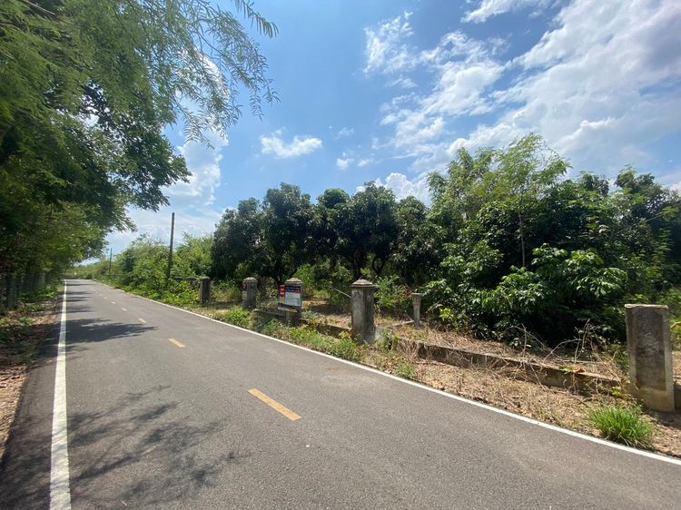 ใช่ 💖 ที่ดิน ดอยหล่อ ราคาพิเศษ! 💖 รูปที่ 2