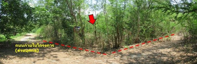 ใช่ 💖 ที่ดิน จอมทอง ราคาพิเศษ! 💖 รูปที่ 2