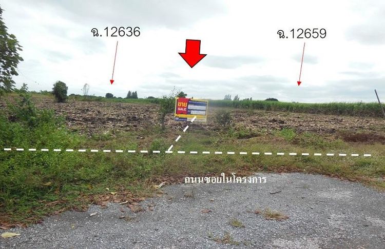 💖 ที่ดิน ชัยบาดาล ราคาพิเศษ! 💖