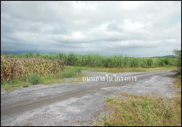 ใช่ 💖 ที่ดิน ชัยบาดาล ราคาพิเศษ! 💖 รูปที่ 2